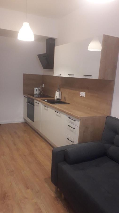 Apartamenty Irena Stare Miasto Sw. Ducha Elbing Exterior foto
